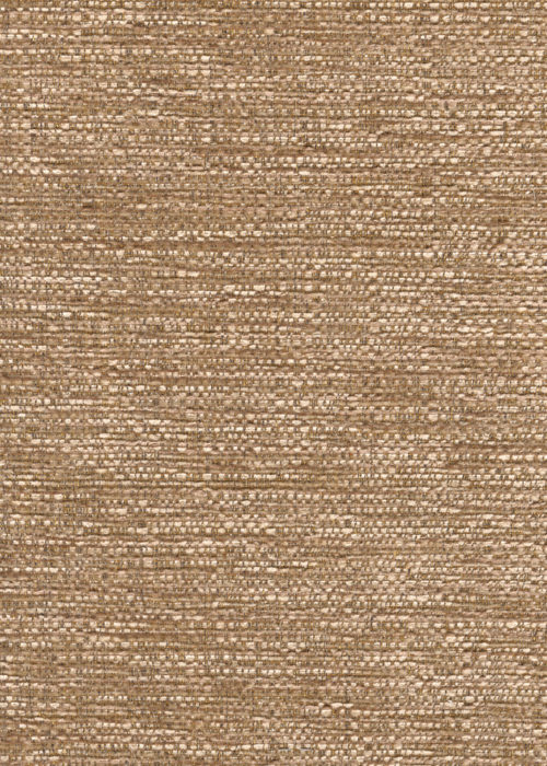 Finsbury_Nutmeg
