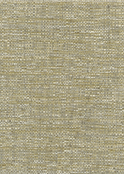 Finsbury_Willow