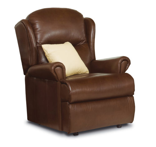 Malvern Standard Leather Fixed Chair