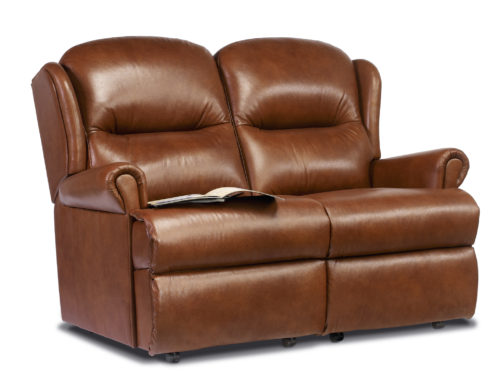 Malvern Small Leather Fixed 2-Seater Settee