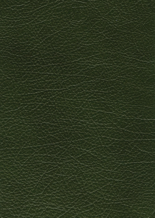 Antique_green