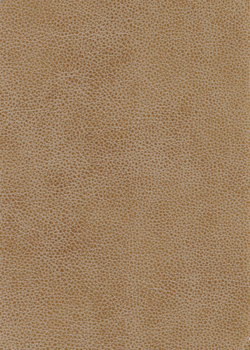 Colorado_Sand