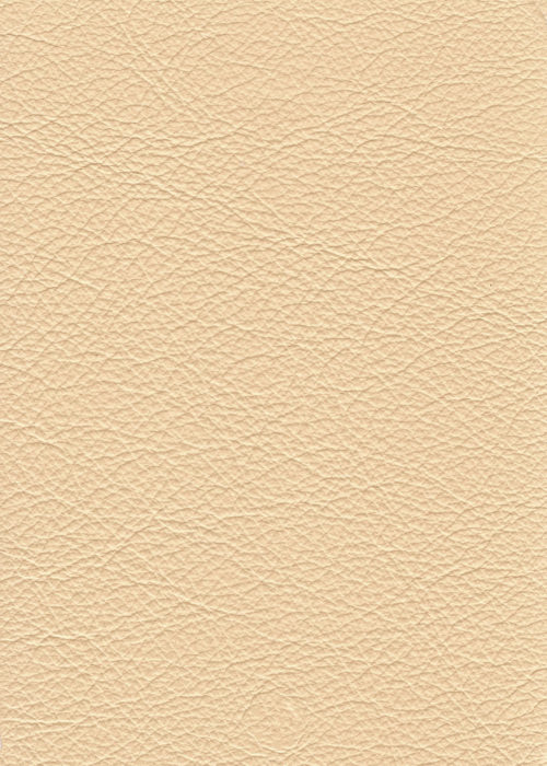 Queensbury_Ivory