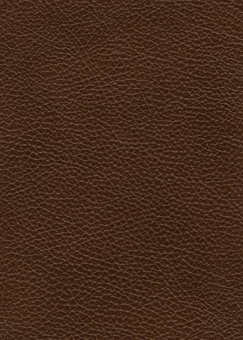 Texas_Brown