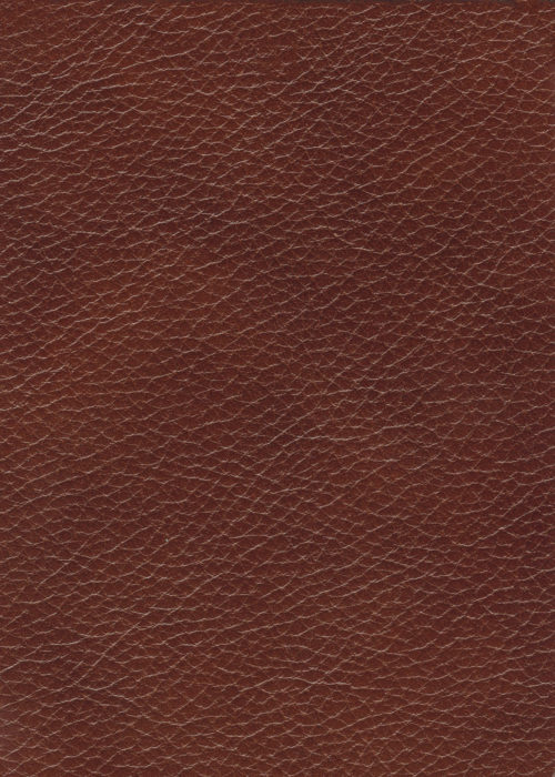 Texas_Chestnut