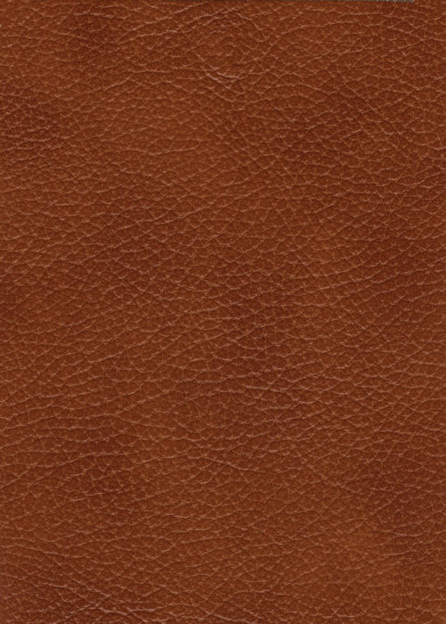 Texas_Teak