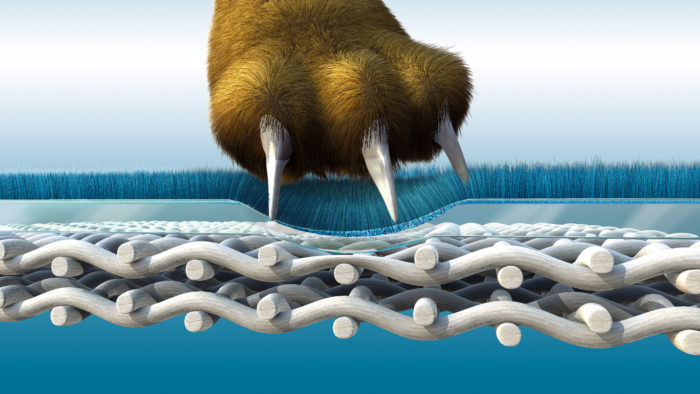 Aquaclean_Claw